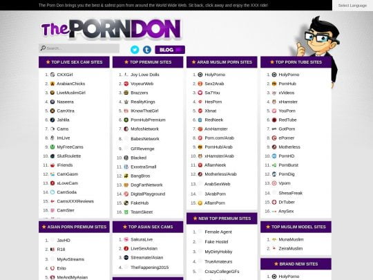 The Porn Don